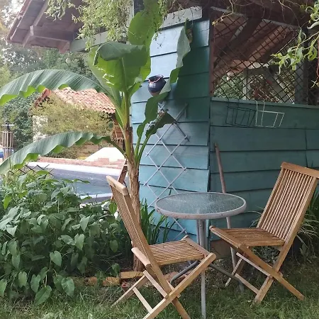 D Dans Un Magnifique Frühstückspension