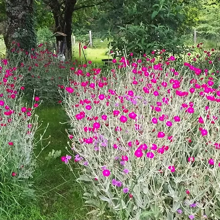 Bed & Breakfast D Dans Un Magnifique Pontenx-les-Forges