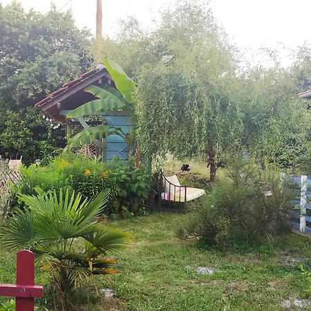 D Dans Un Magnifique Pontenx-les-Forges