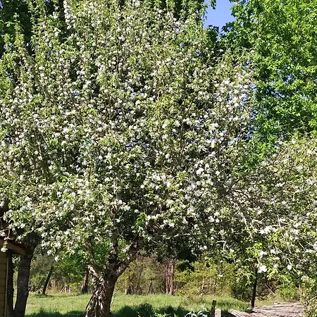 ベッド・アンド・ブレックファスト D Dans Un Magnifique 3*