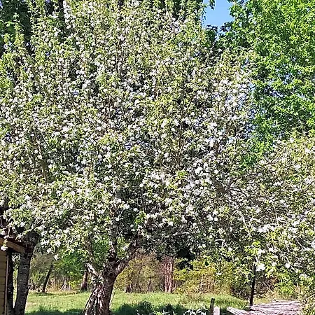 Frühstückspension D Dans Un Magnifique 3*