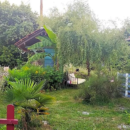 D Dans Un Magnifique Frühstückspension 3*